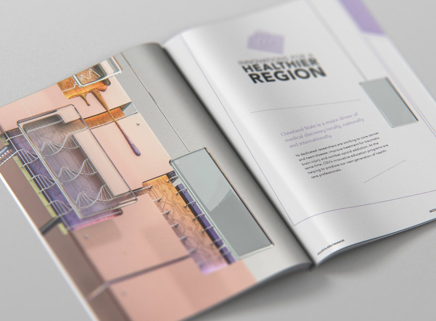 Building Blocks CSU Research Mag, image 2 of 3
